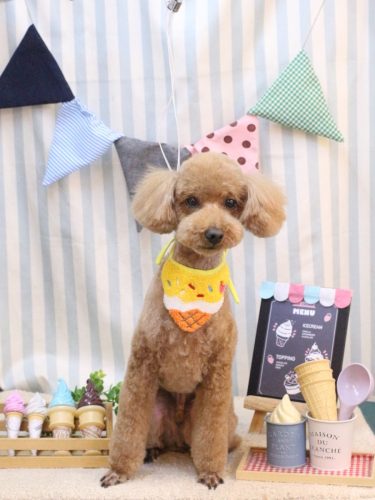 20250522カイくん